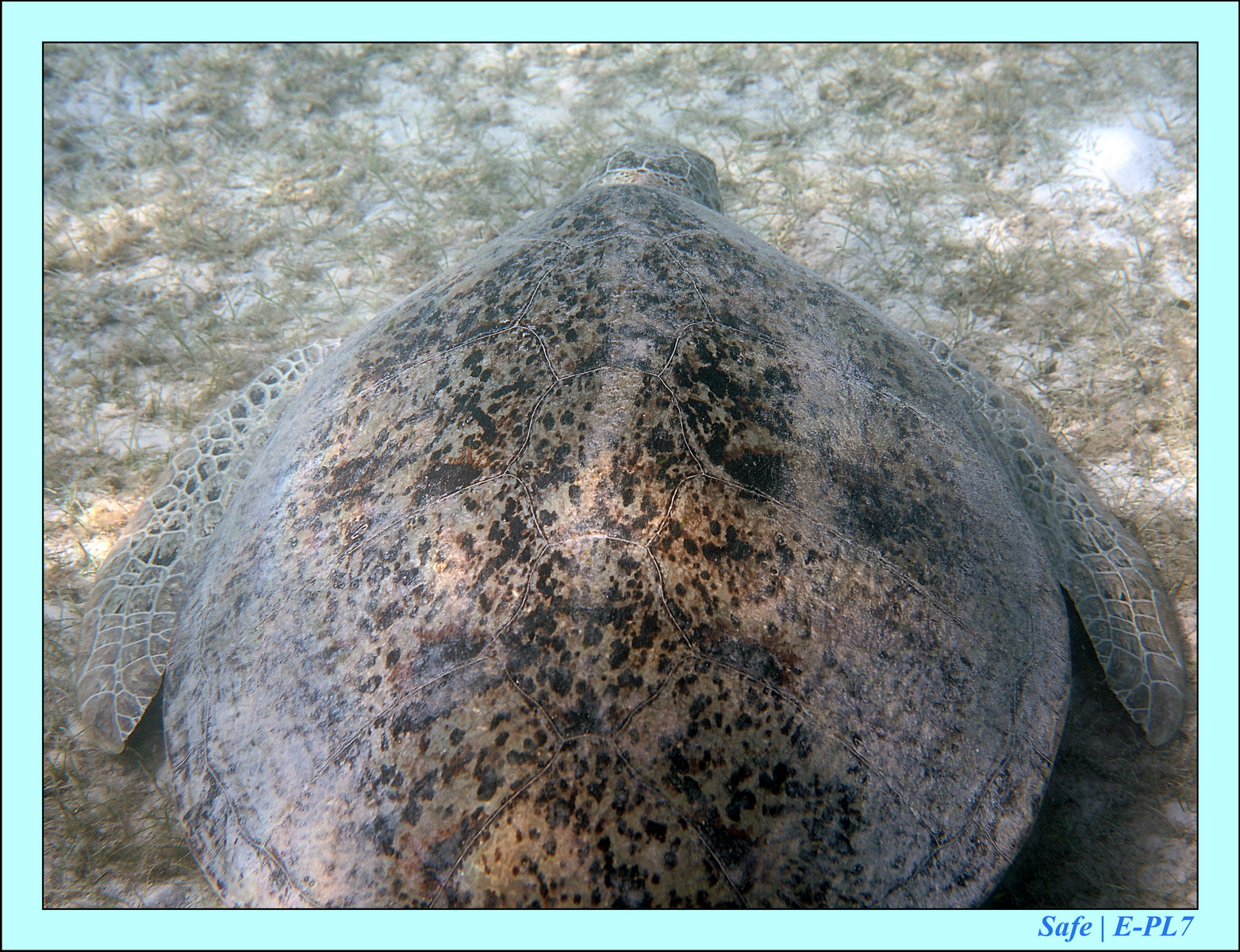 2016 - 07 - Leng Tengah - 079